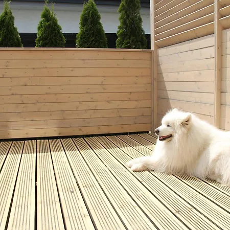 Czerwone Zagle Caloroczne * Władysławowo