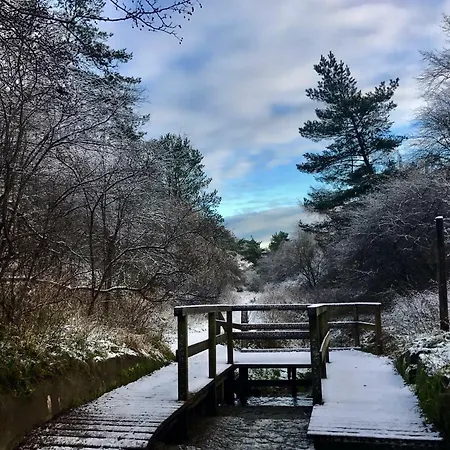 Czerwone Zagle Caloroczne Lejlighed *