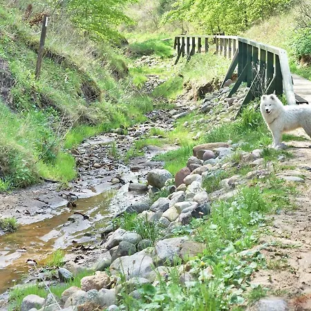 Czerwone Zagle Caloroczne *