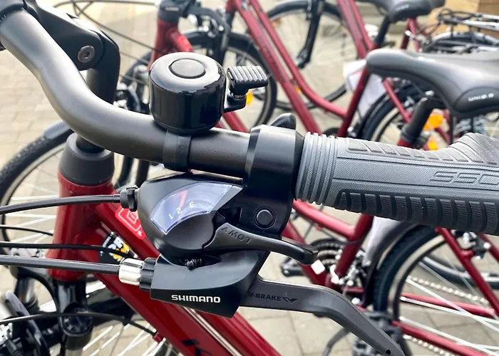 Daire Czerwone Zagle Caloroczne Władysławowo