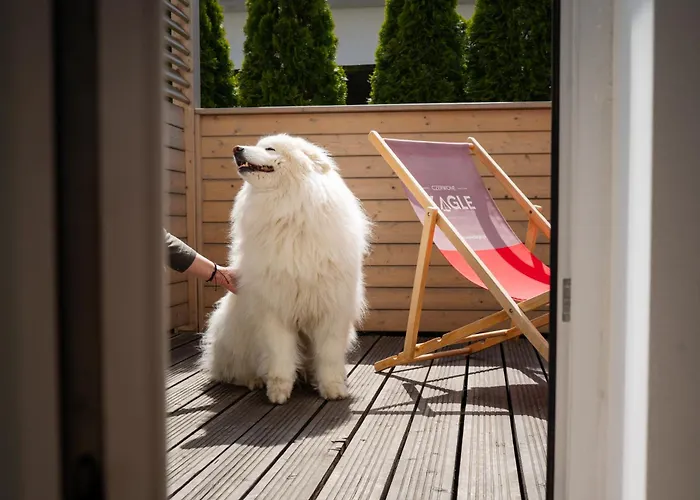 Czerwone Zagle Caloroczne Władysławowo