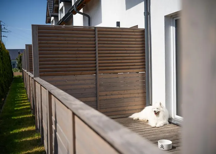 Czerwone Zagle Caloroczne *