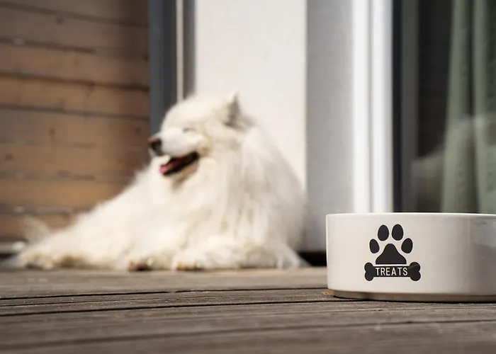 Daire Czerwone Zagle Caloroczne Władysławowo