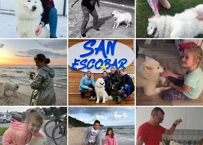 Czerwone Zagle Caloroczne Daire *