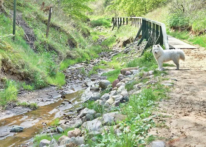 Czerwone Zagle Caloroczne *